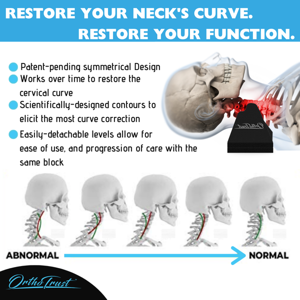 Zenith Cervical Traction Orthotic Chiropractic Neck Corrector 3-in-1 Device for Stretching Forward Head Posture Physical Therapy & Pain Relief